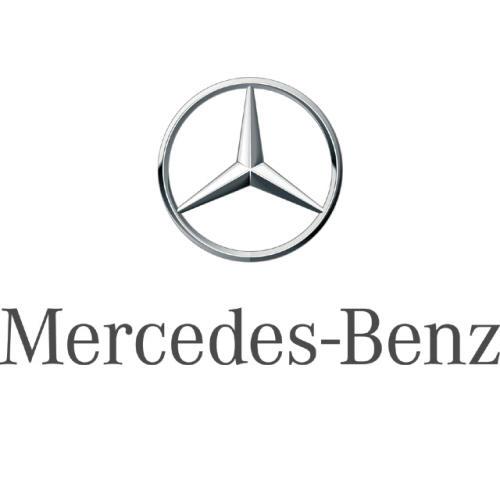Brake Shoes - Mercedes Benz