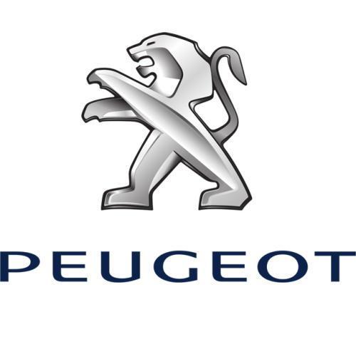 Repair Manual - Peugeot
