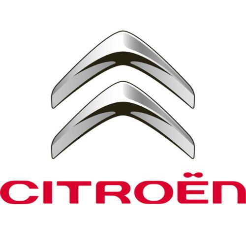 Brake Discs - Citroen