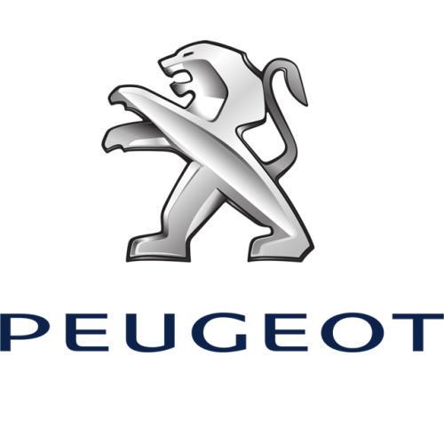 Brake Shoes - Peugeot