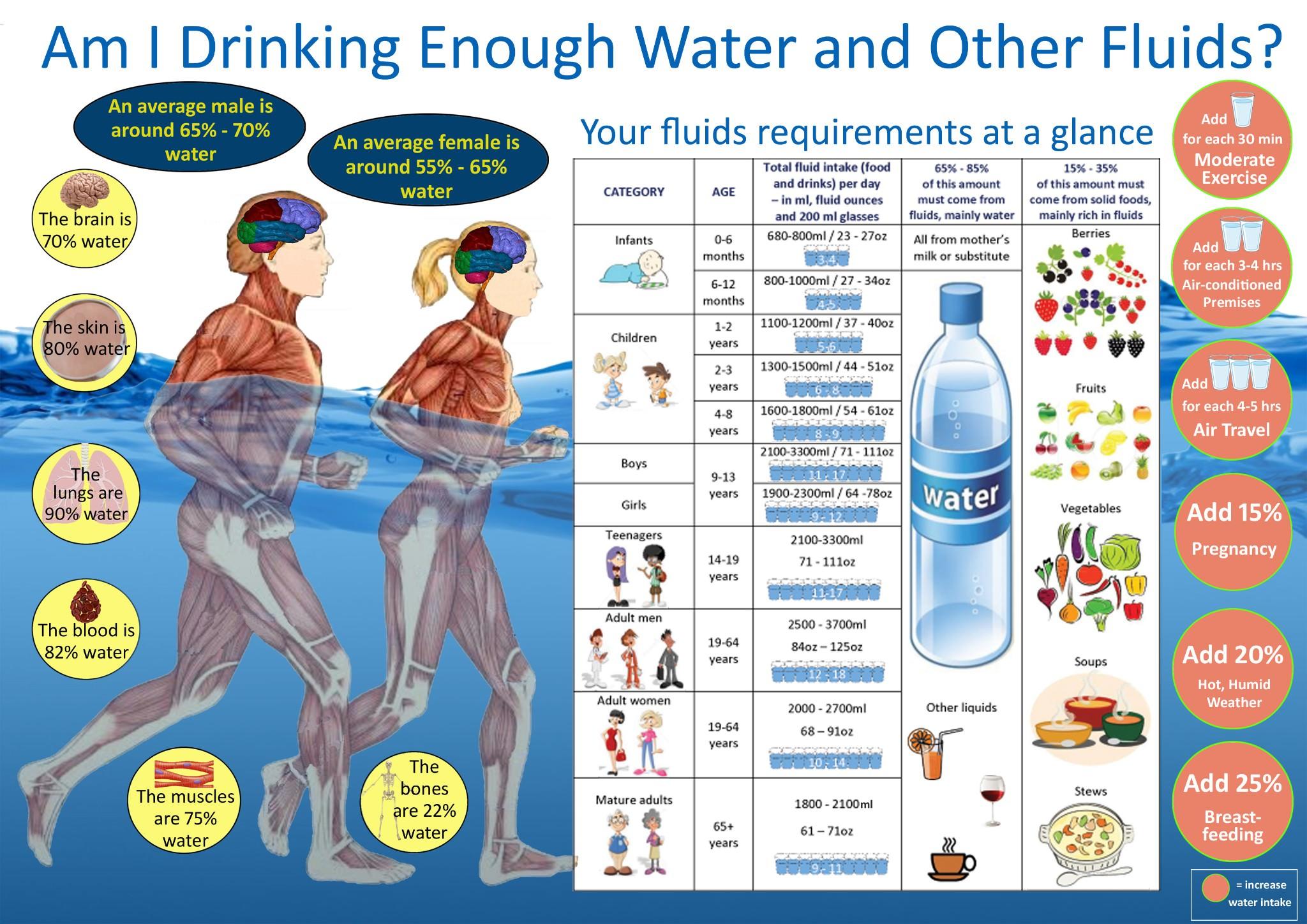 speech on drinking more water