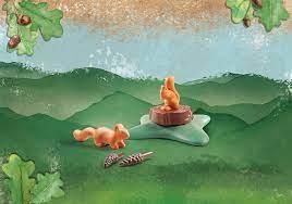 Squirrels