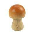 Wooden Mushroom