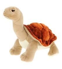Keeleco  Tortoise