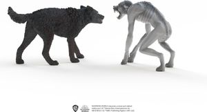 Werewolf vs Animagus