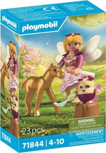 Golden Unicorn Foal with Fairy