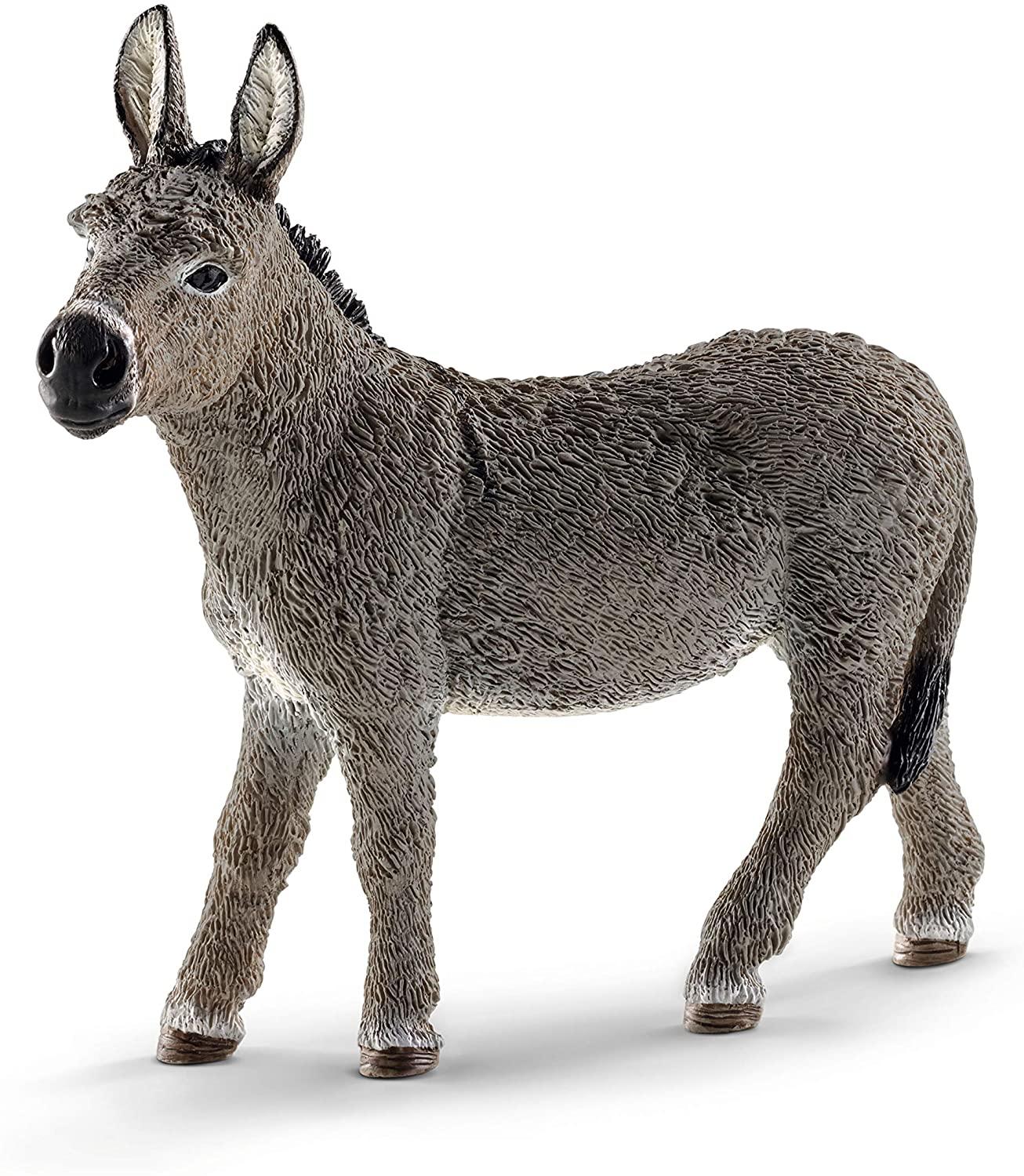 donkey