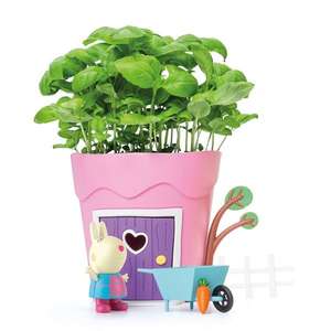 Rebecca Rabbit Grow Pot