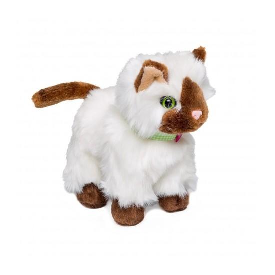 Our generation doll cat top