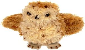 Tawny Owl