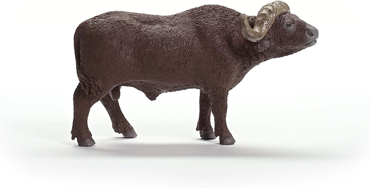 Buffalo