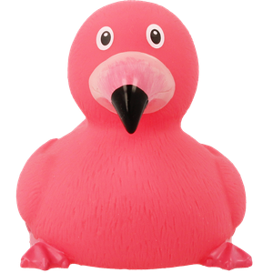 Flamingo Duck