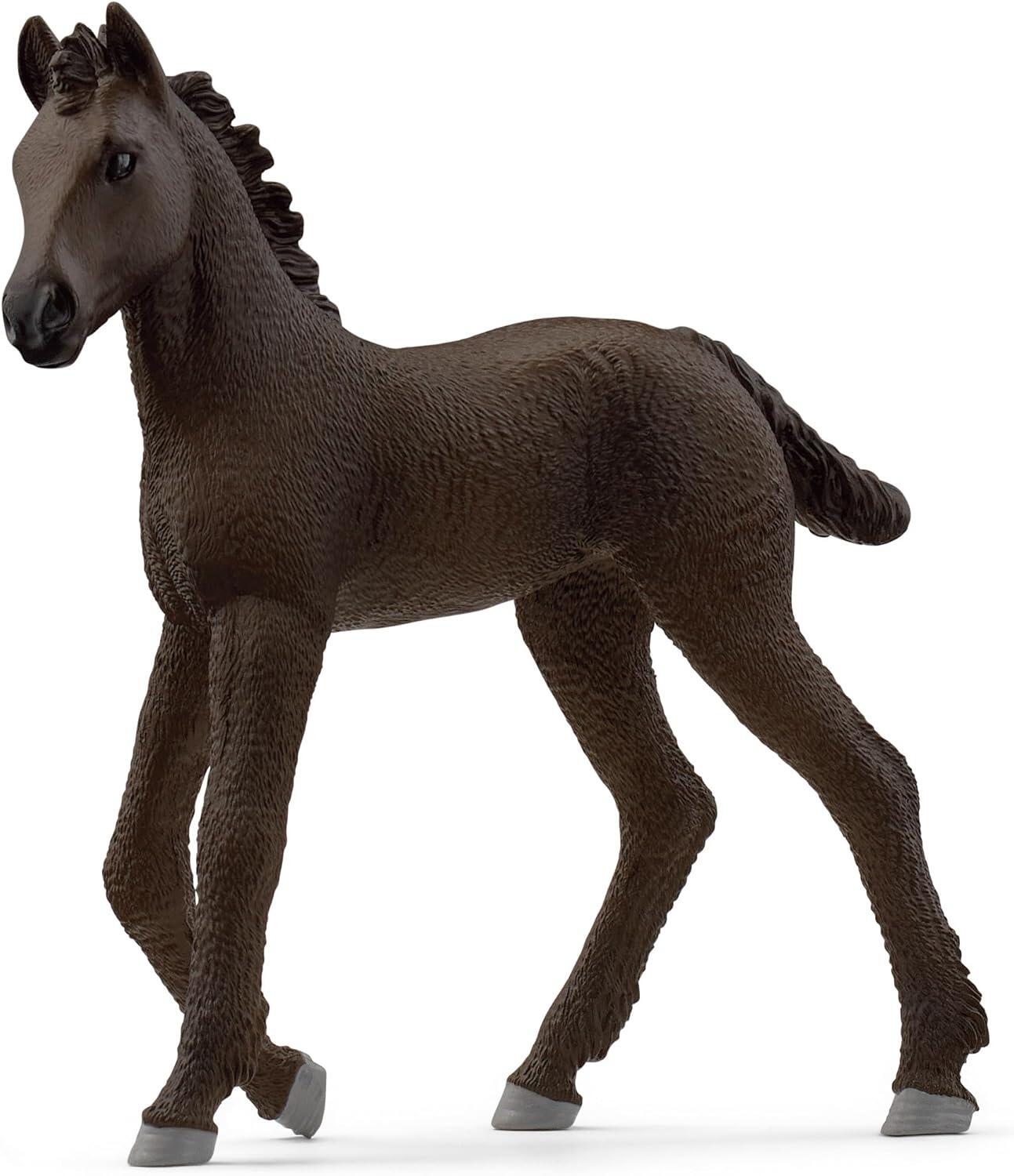 Friesian Foal