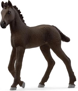Friesian Foal