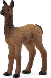 llama foal