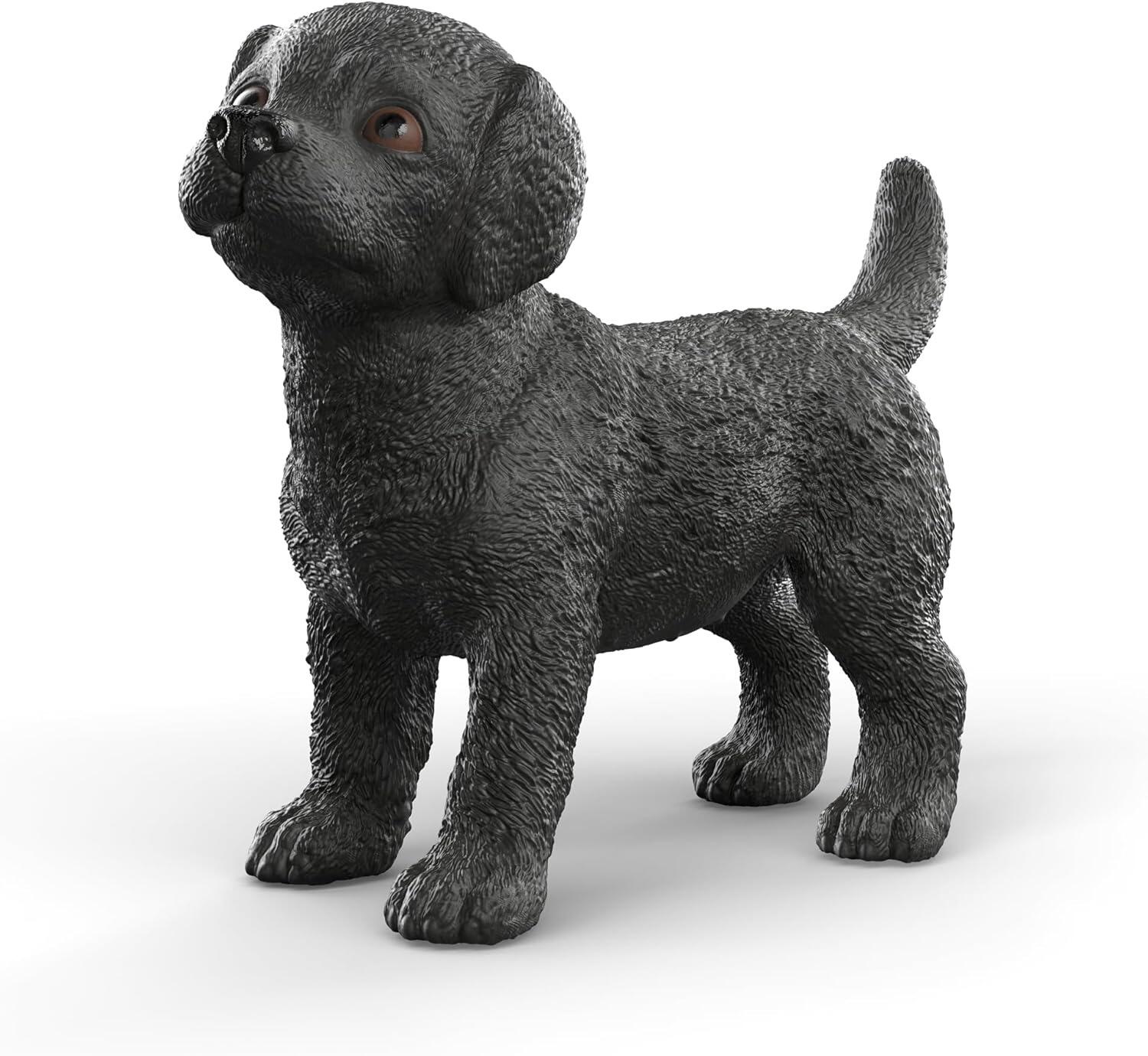 Labrador Retriever Puppy
