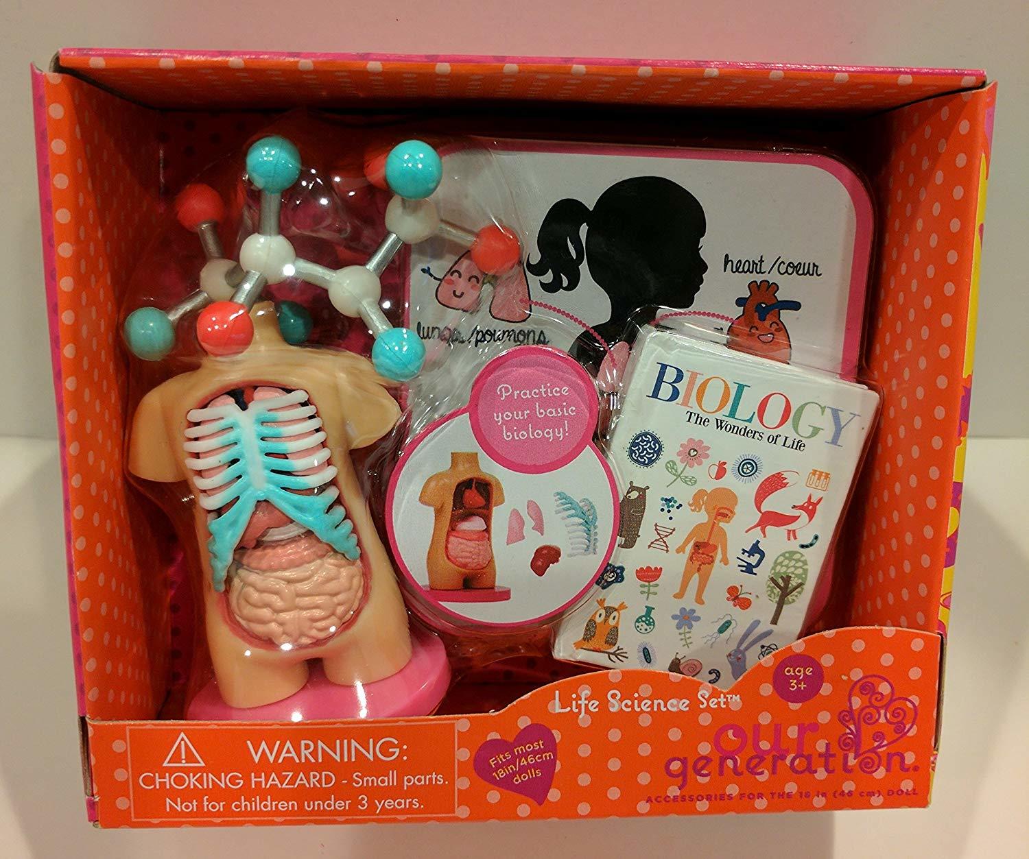 Our Generation Accessory Set Life Science Set Anatomy Model