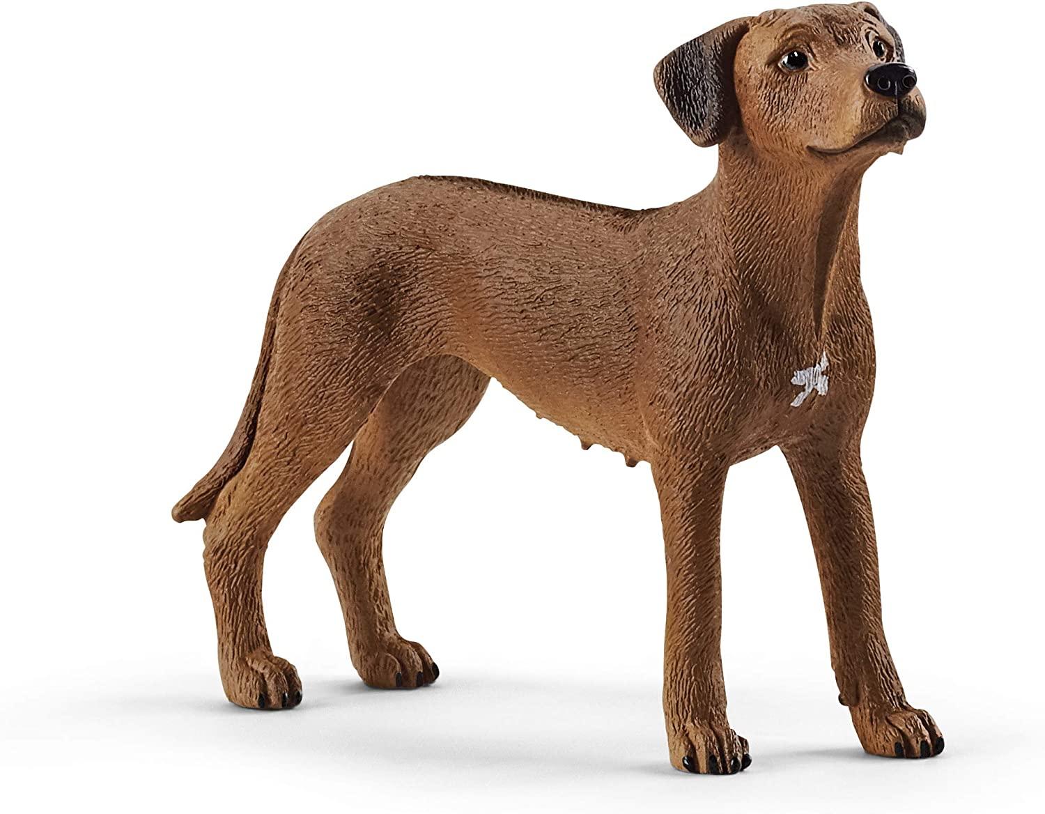 Rhodesian Ridgeback