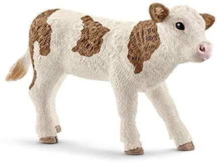 Simmental Calf