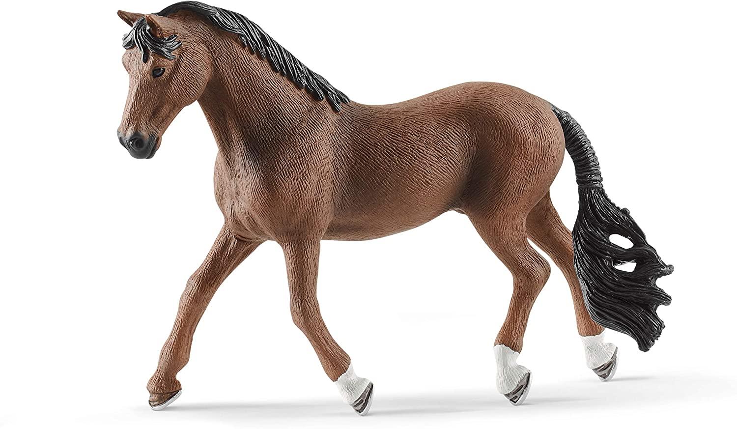 Trakehner gelding