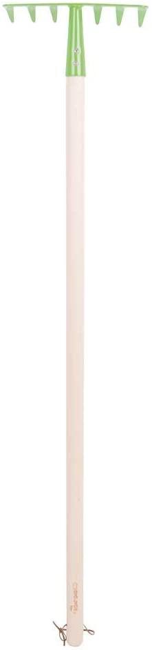 rake