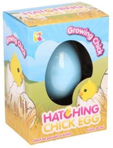 Chick Hatching Egg