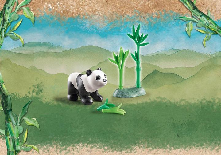 Young Panda