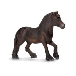 Fell pony mare