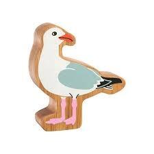 Natural Colourful Seagull
