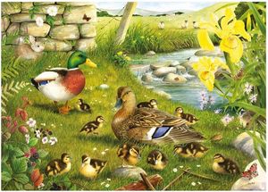 Ducks to Water 500 XL