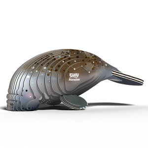EUGY Manatee