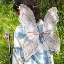 Fairy Wings