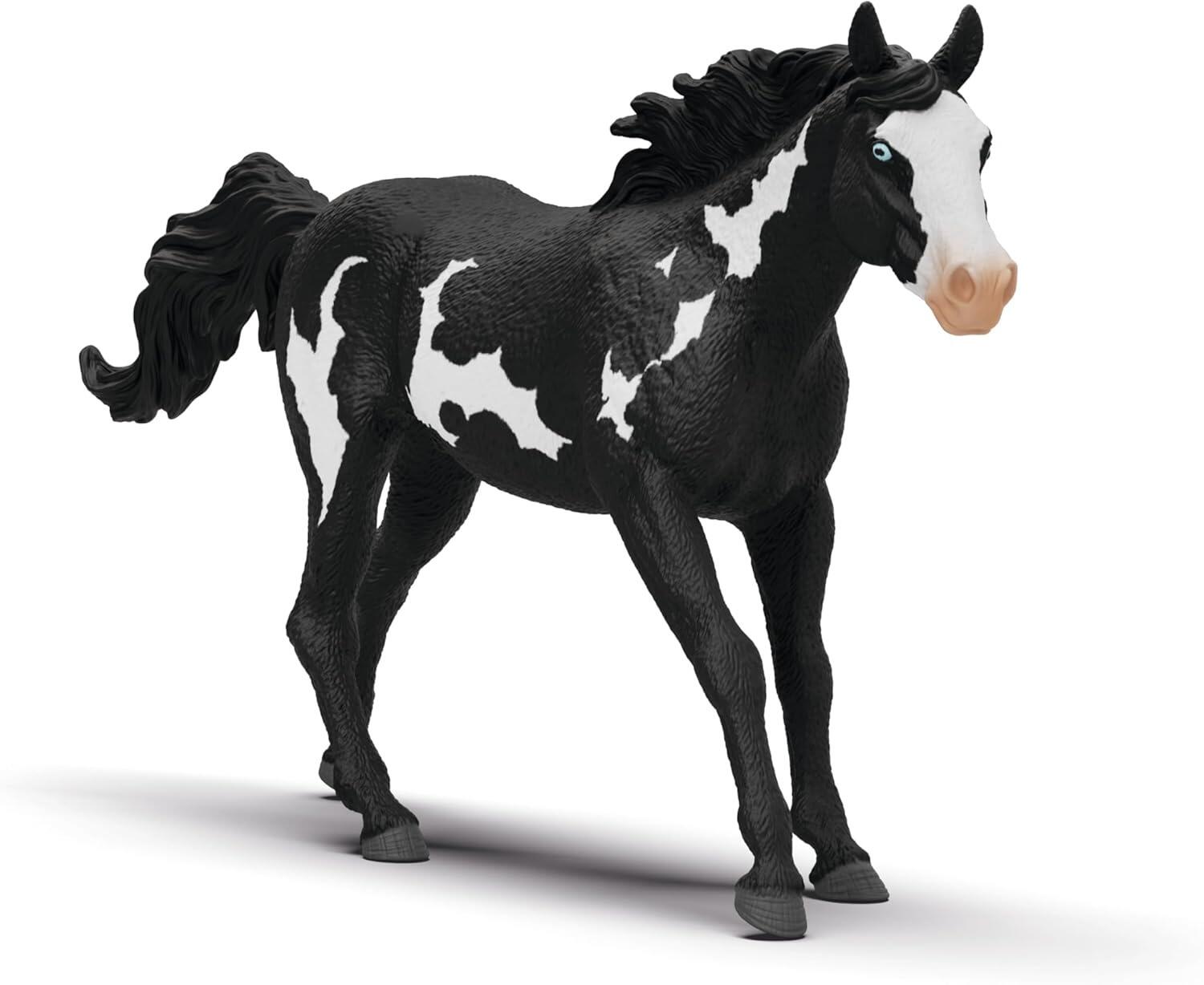 Paint Horse Gelding