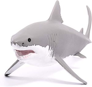 Great White Shark