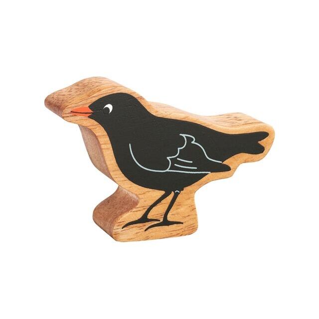 Natural Colourful Blackbird