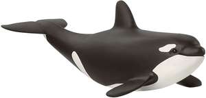 Baby orca