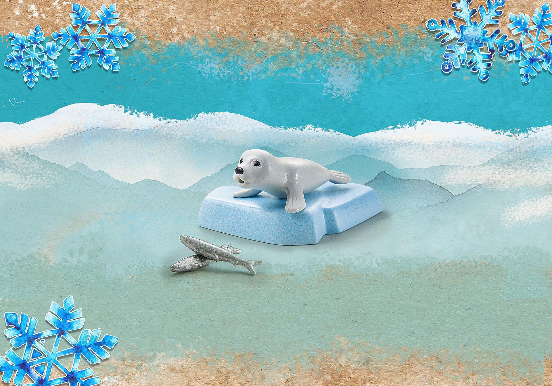 Young Seal