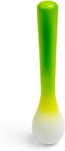 Spring Onion