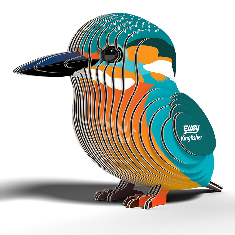 EUGY  Kingfisher
