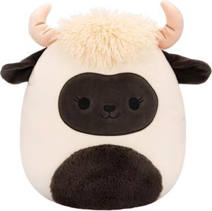 Venus the Longhorn Sheep