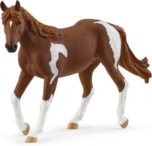Paint Horse Mare