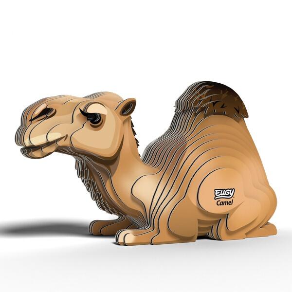 EUGY  Camel
