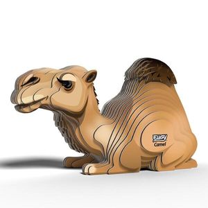 EUGY  Camel
