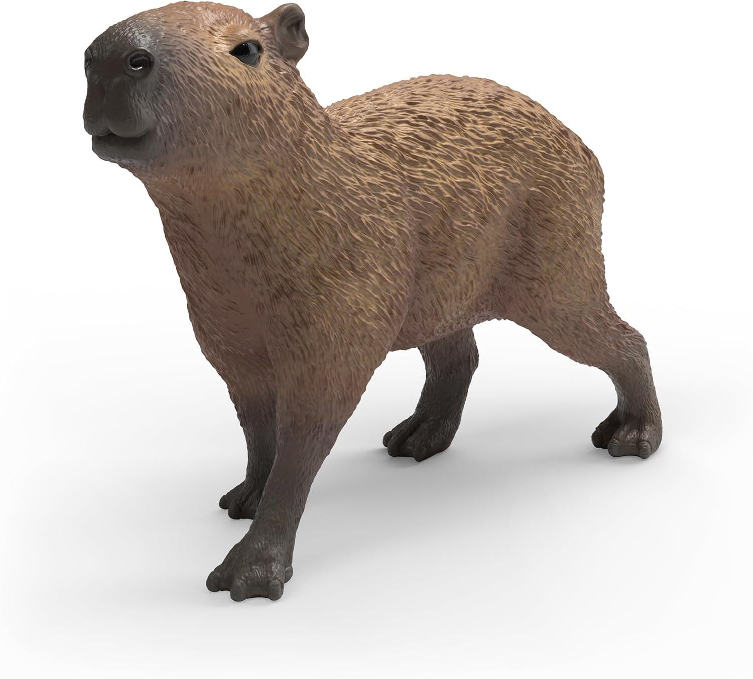 Capybara
