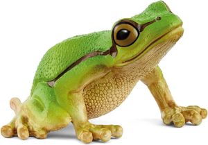 European Tree Frog