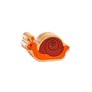 Natural Colourful Snail