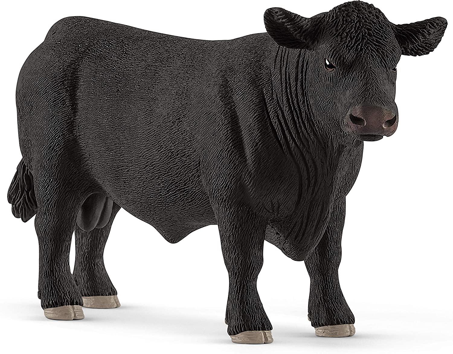 Black Angus Bull