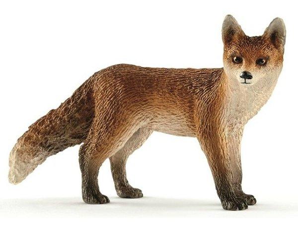 Fox