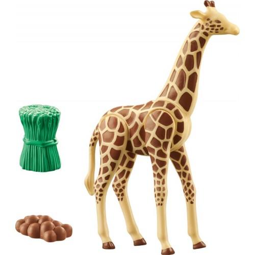 giraffe