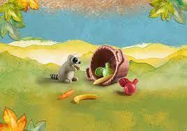 Raccoon